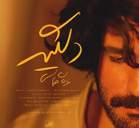 عکس نوشته اهنگ نفس علی سورنا