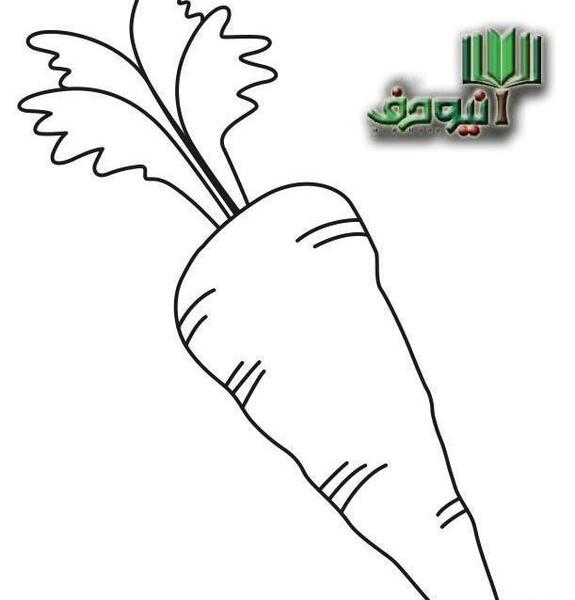 عکس فانتزی هویج