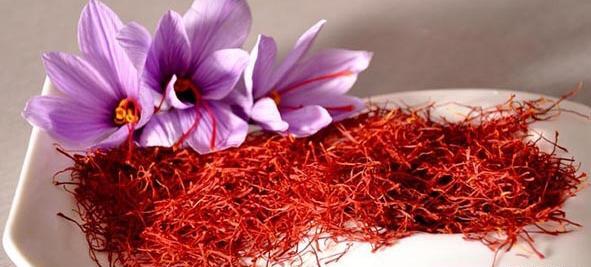 عکس زعفران برای تبلیغات