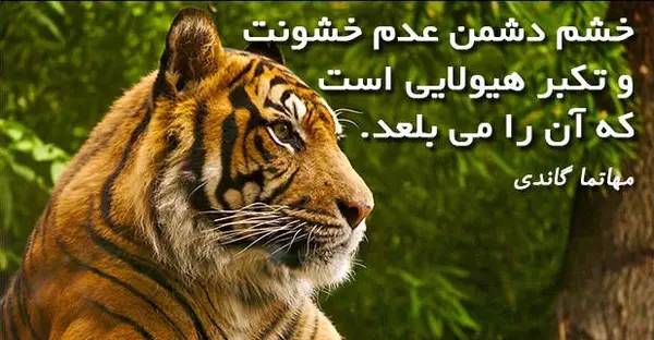 عکس در مورد خشم