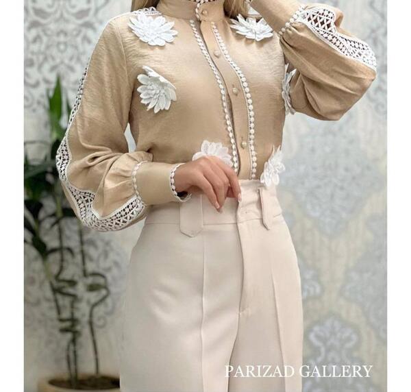 عکس شومیز شیک