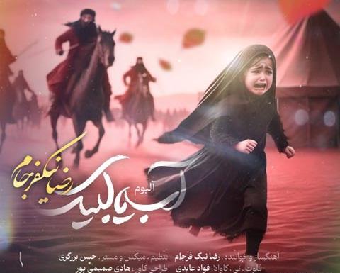 عکس رضا نیک فرجام
