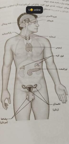 عکس نود نی نی سایت