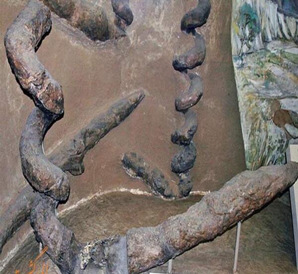 عکس شیطان ماسه ی