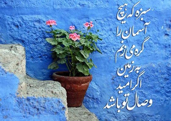 عکس سیزده ات بدر