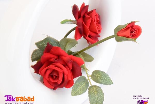 عکس گل رز پلاستیکی