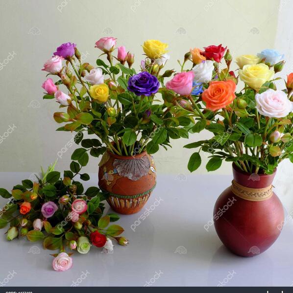 عکس گل رز پلاستیکی