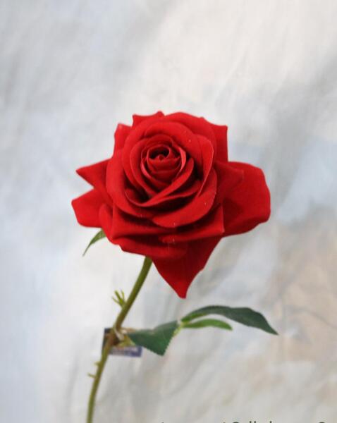 عکس گل رز پلاستیکی