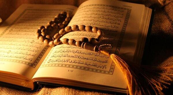 عکس سبا نعمتی