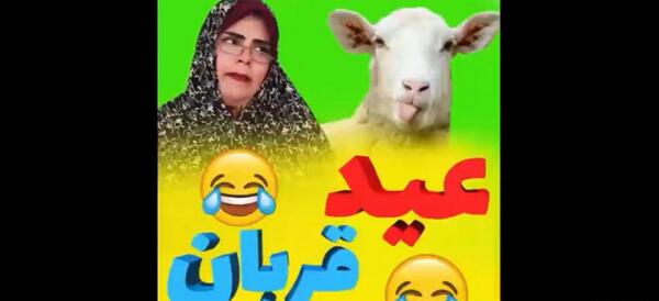 عکس های خنده دار عید نوروز