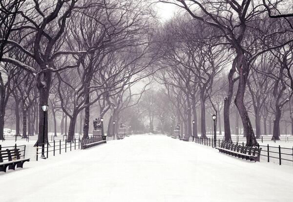 عکس پروفایل سفید برفی