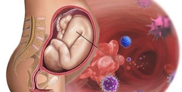 عکس ویروس هرپس تناسلی
