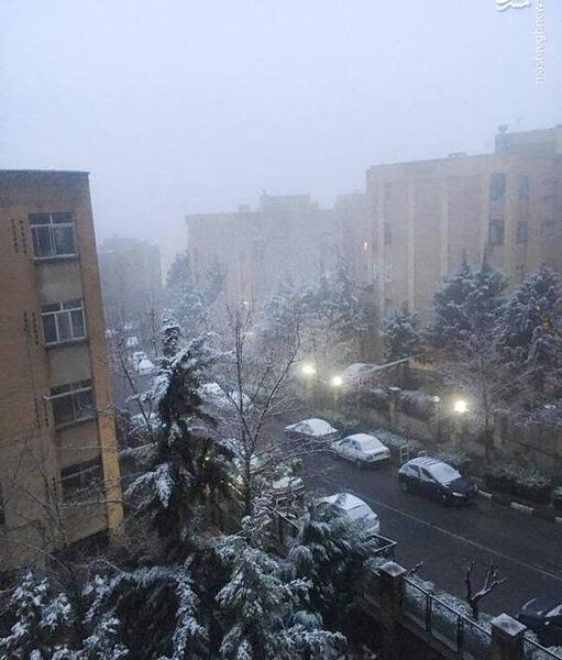 عکس برف در شب تهران