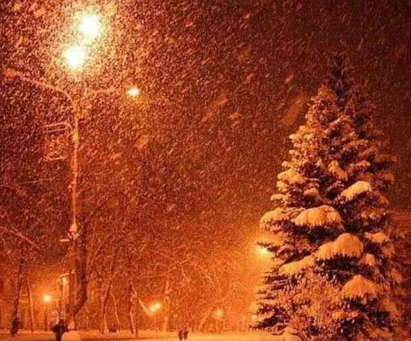 عکس برف در شب تهران