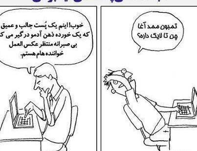 عکس کیوت جهانی