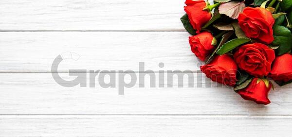 عکس گل رز برای پس زمینه