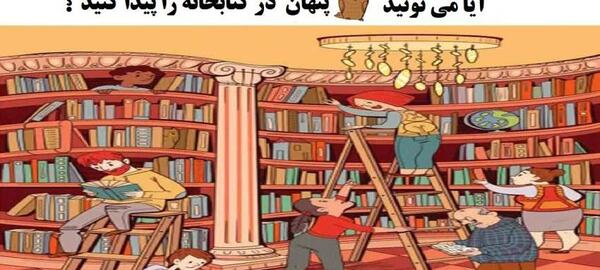عکس جغد پنهان