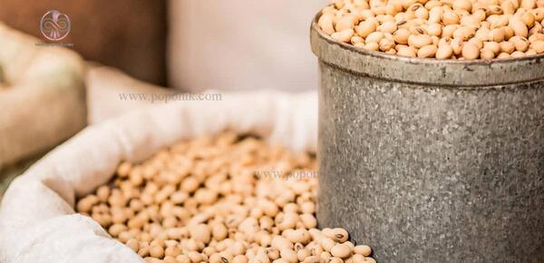 عکس عصاره سویا