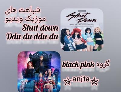 عکس بلک پینک در شات داون