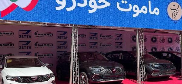 عکس مالک شرکت ماموت