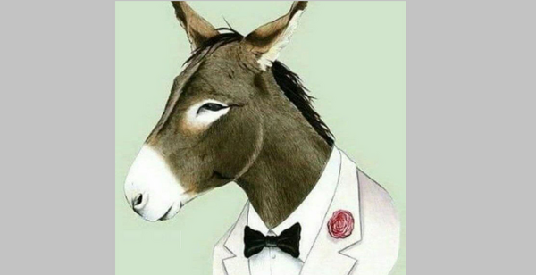 عکس سیگار خر
