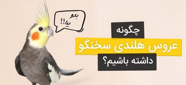 عکس عروس هلندی که حرف بزنه