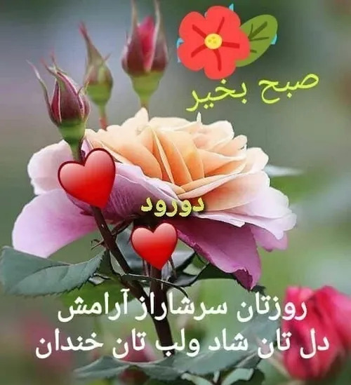 عکس بسم الله الرحمن الرحیم شاد