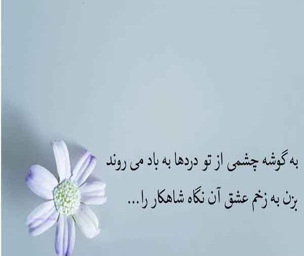 عکس پروفایل نگاه زیبا