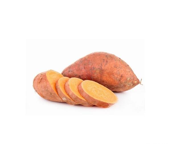 عکس سیب زمینی شیرین
