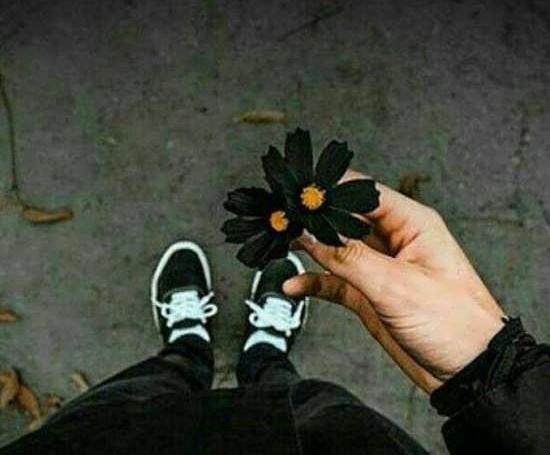 عکس گل پروفایل پسرانه