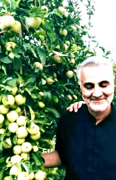 عکس لبخند شهید