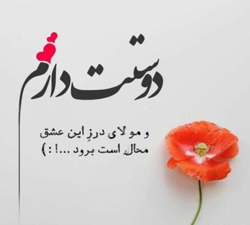 عکس نوشته دوست دارم نقطه ته قلب