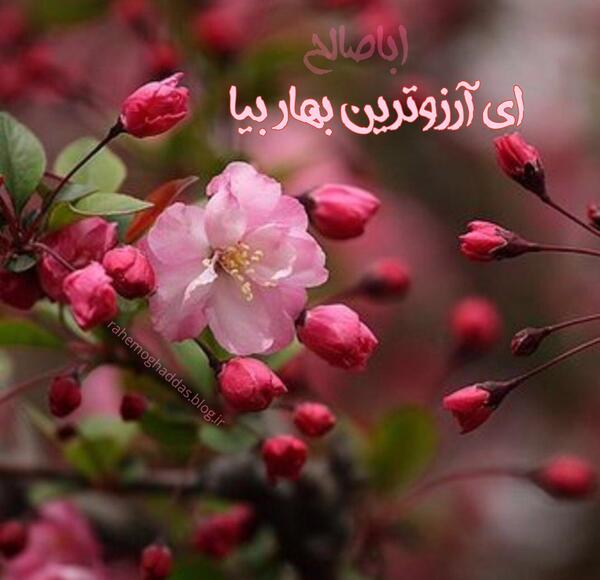عکس پروفایل بهاری مذهبی