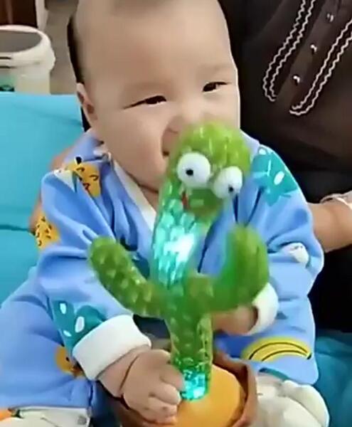 عکس کاکتوس که حرف میزنه