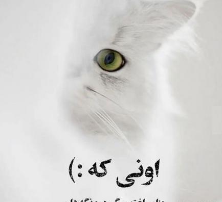 عکس نوشته سنگین خاص