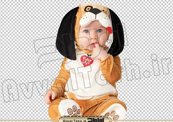 عکس پس زمینه هاپو