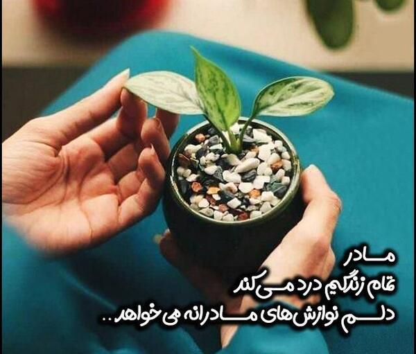 عکس پروفایل مادر لاتی