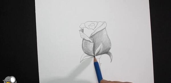 عکس نقاشی گل سیاه قلم ساده