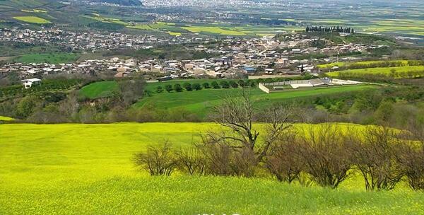 عکس خلیل باقری