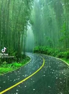 عکس جاده برای استوری