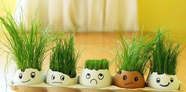 عکس مدل سبزه عید جدید