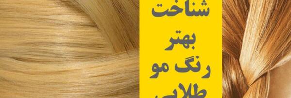 عکس رنگ مو طلایی