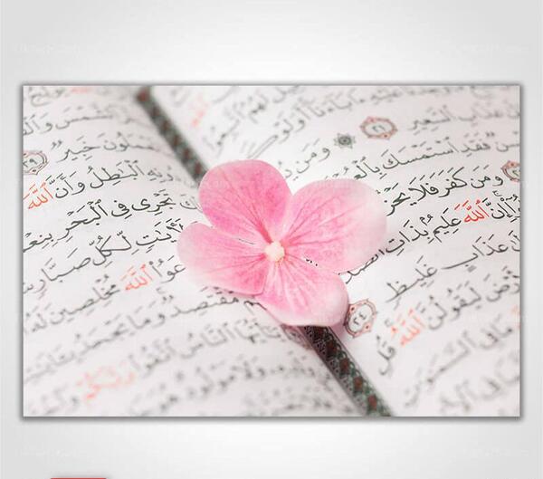 عکس قران صورتی با گل