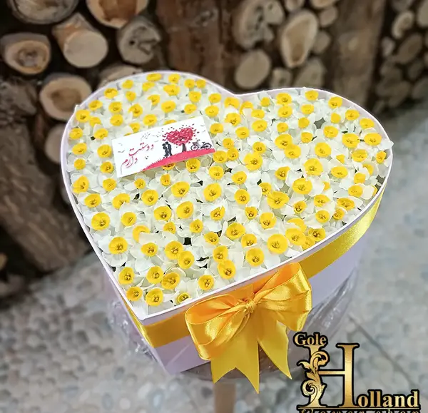 عکس گل نرگس مشکی