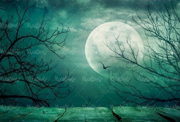 عکس شب مهتابی پر ستاره
