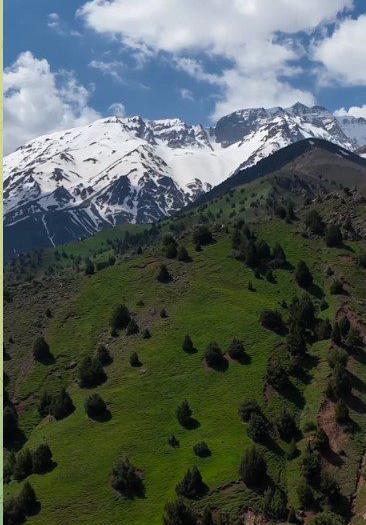 عکس زمستان الموت