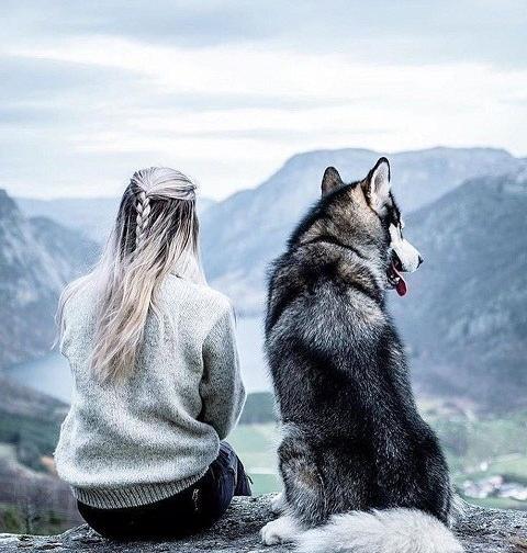 عکس بهاری برای صفحه گوشی