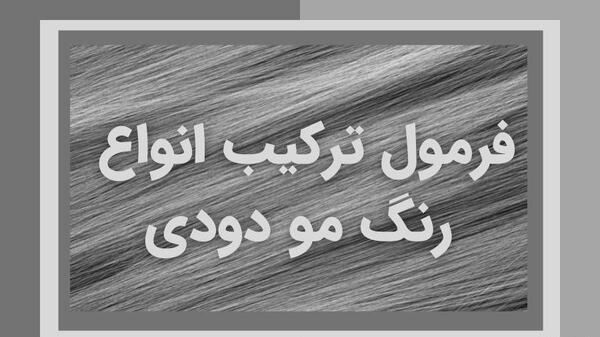 عکس ترکیب رنگ دودی و زیتونی
