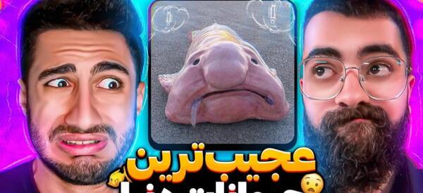 عکس های ارمان د فریک