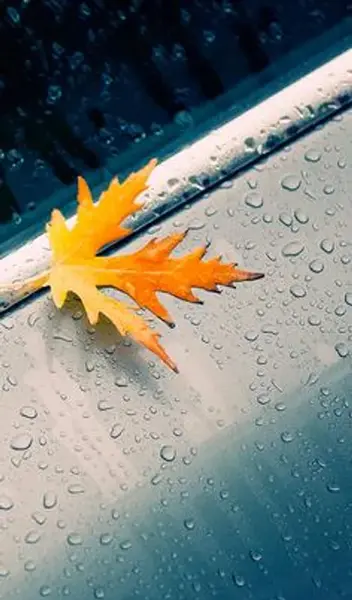 عکس نوشته از وقتی تو رفتی شب حالمو پرسید